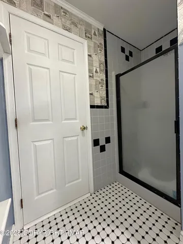 a bathroom with a sink and a shower