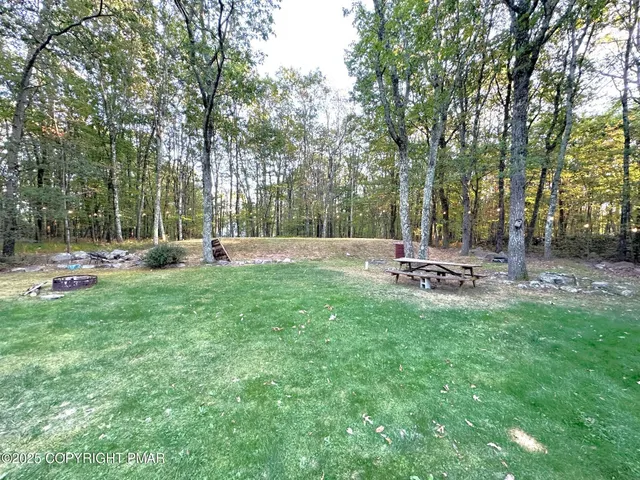 a view of a park with large trees
