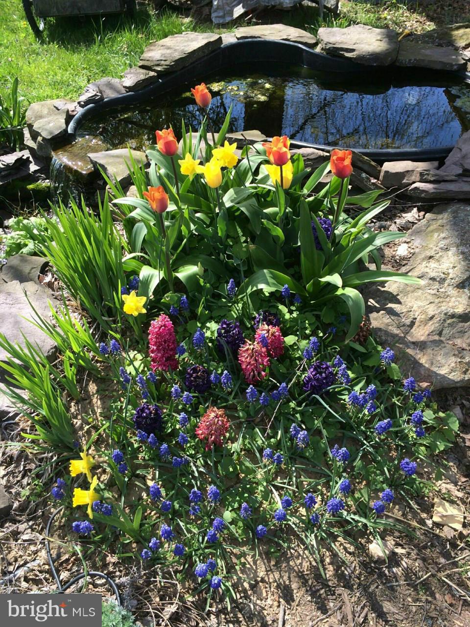 2649 Manchester Road Westminster, MD 21157 - Photo 30 of 30 Beautiful flowers abound! Relaxing water fall