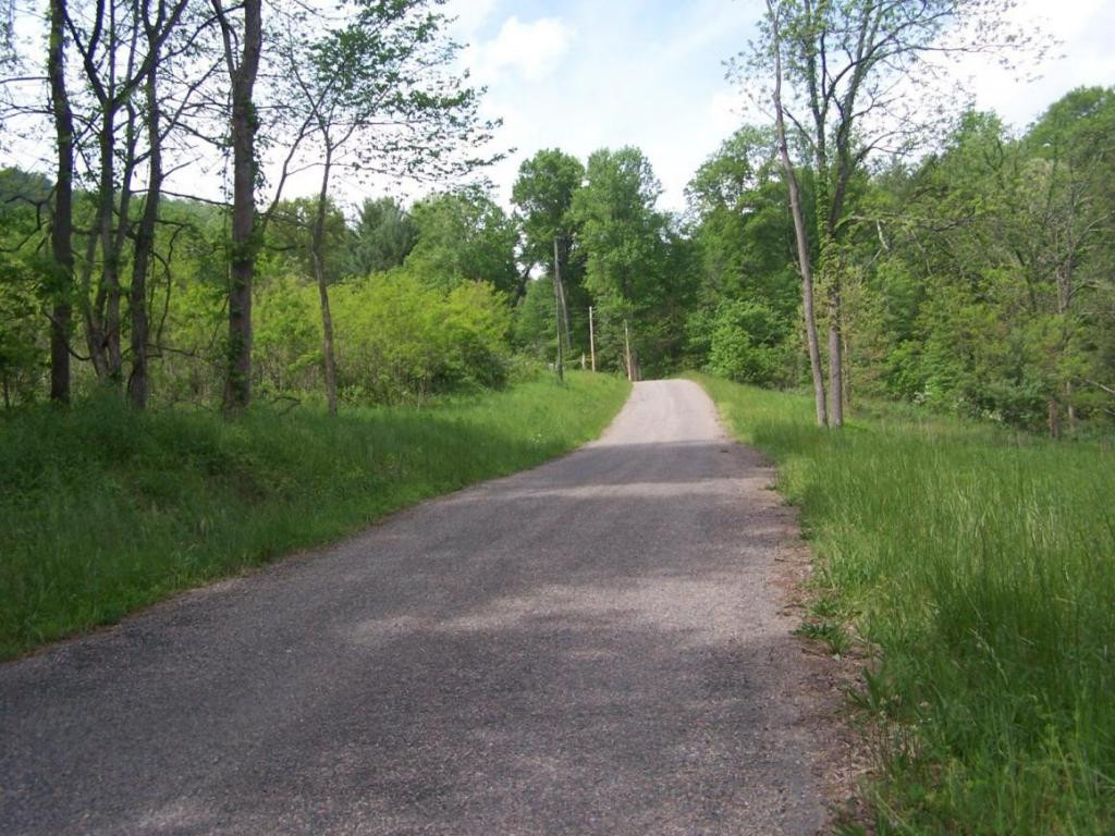 0 Andy Bunton Lane Butler, TN 37640 - Photo 5 of 9 Photo 5