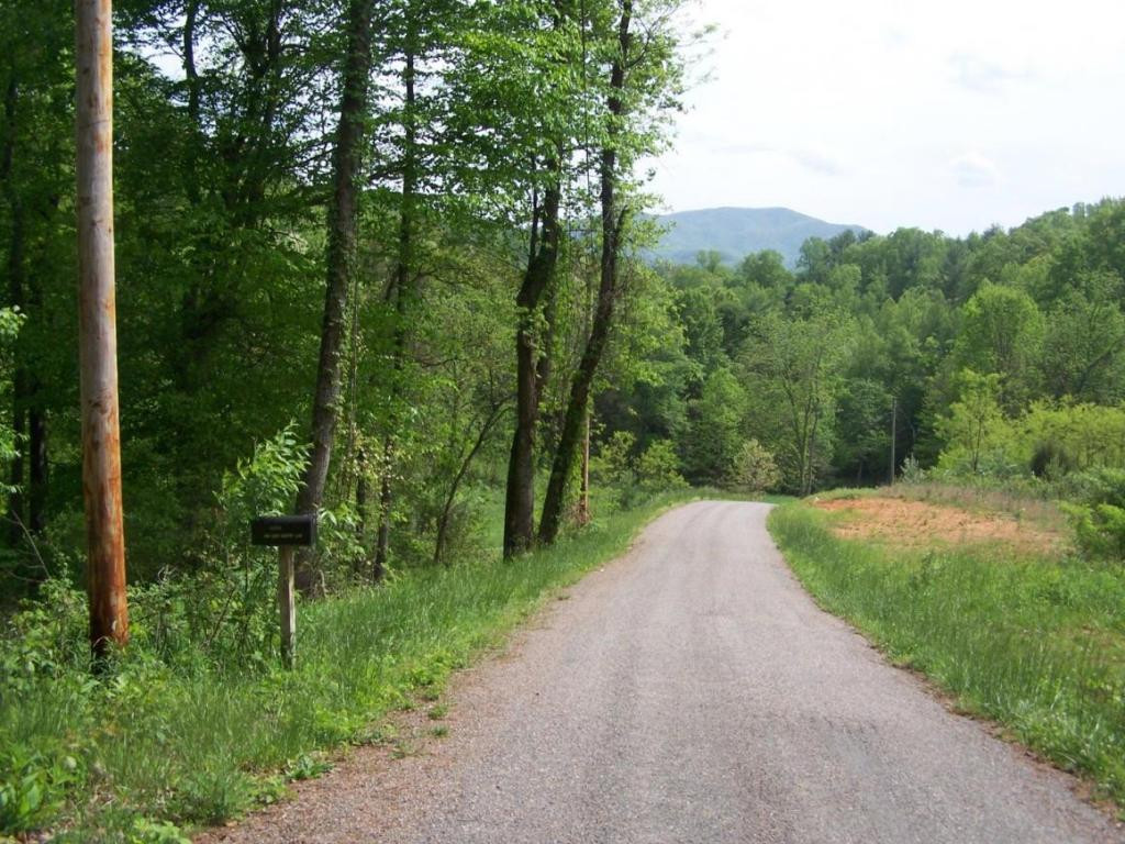 0 Andy Bunton Lane Butler, TN 37640 - Photo 6 of 9 Photo 6