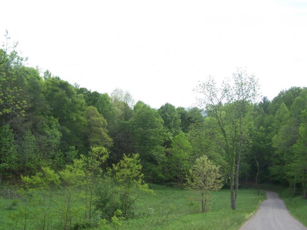 0 Andy Bunton Lane Butler, TN 37640 - Photo 7 of 9 Photo 7