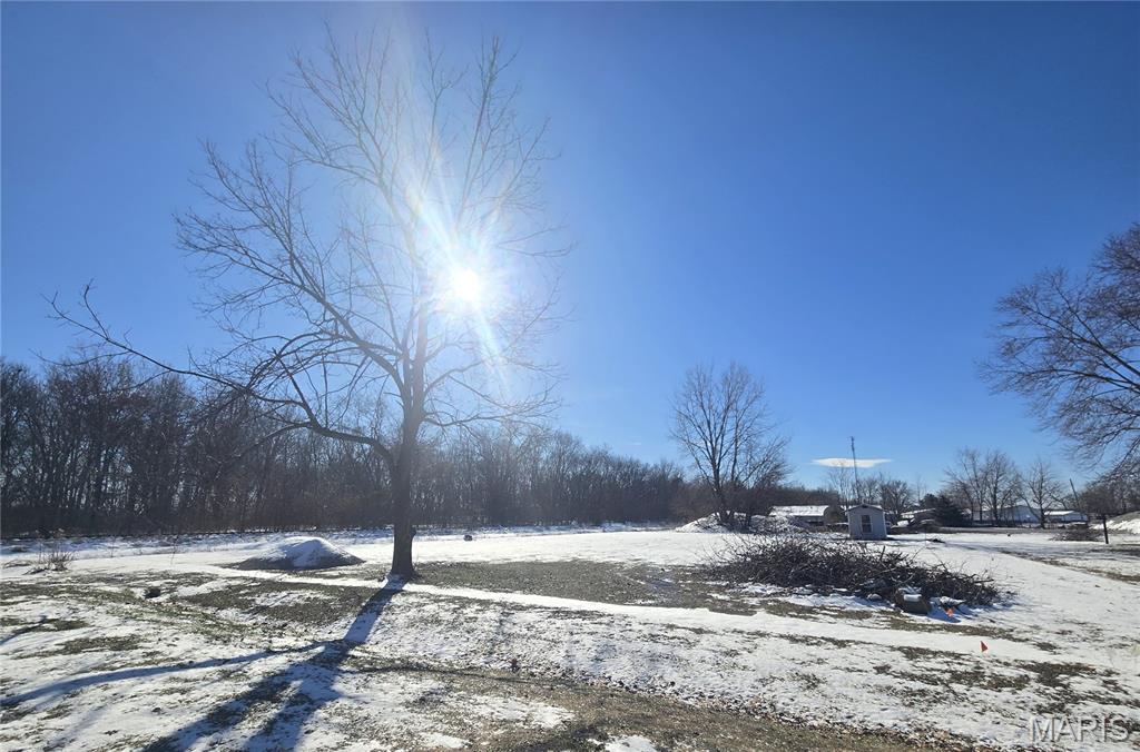 102 3rd Street Coffeen, IL 62017 - Photo 3 of 4