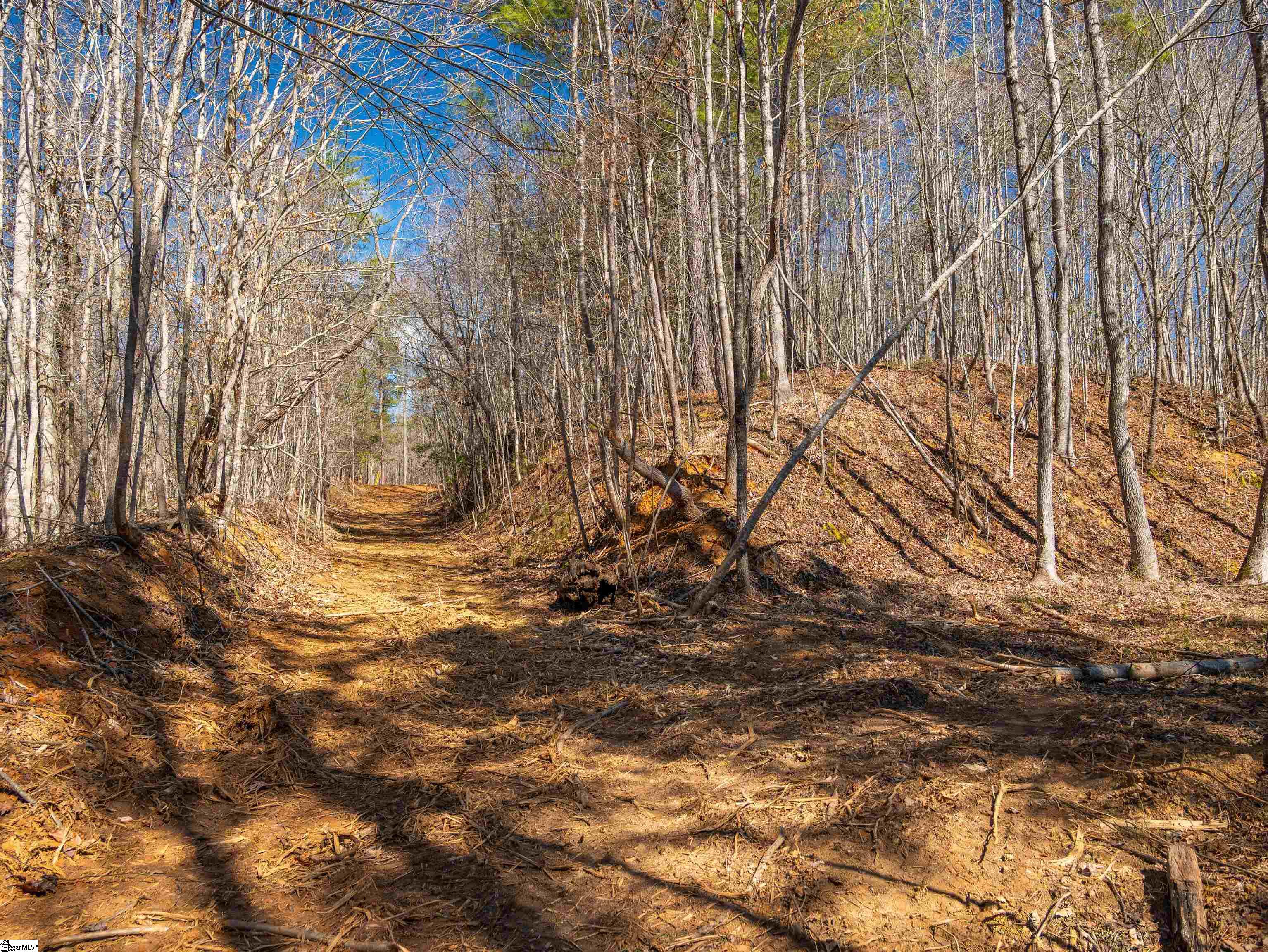 0 Crowe Creek Road, Unit LOT C Six Mile, SC 29682 - Photo 5 of 17