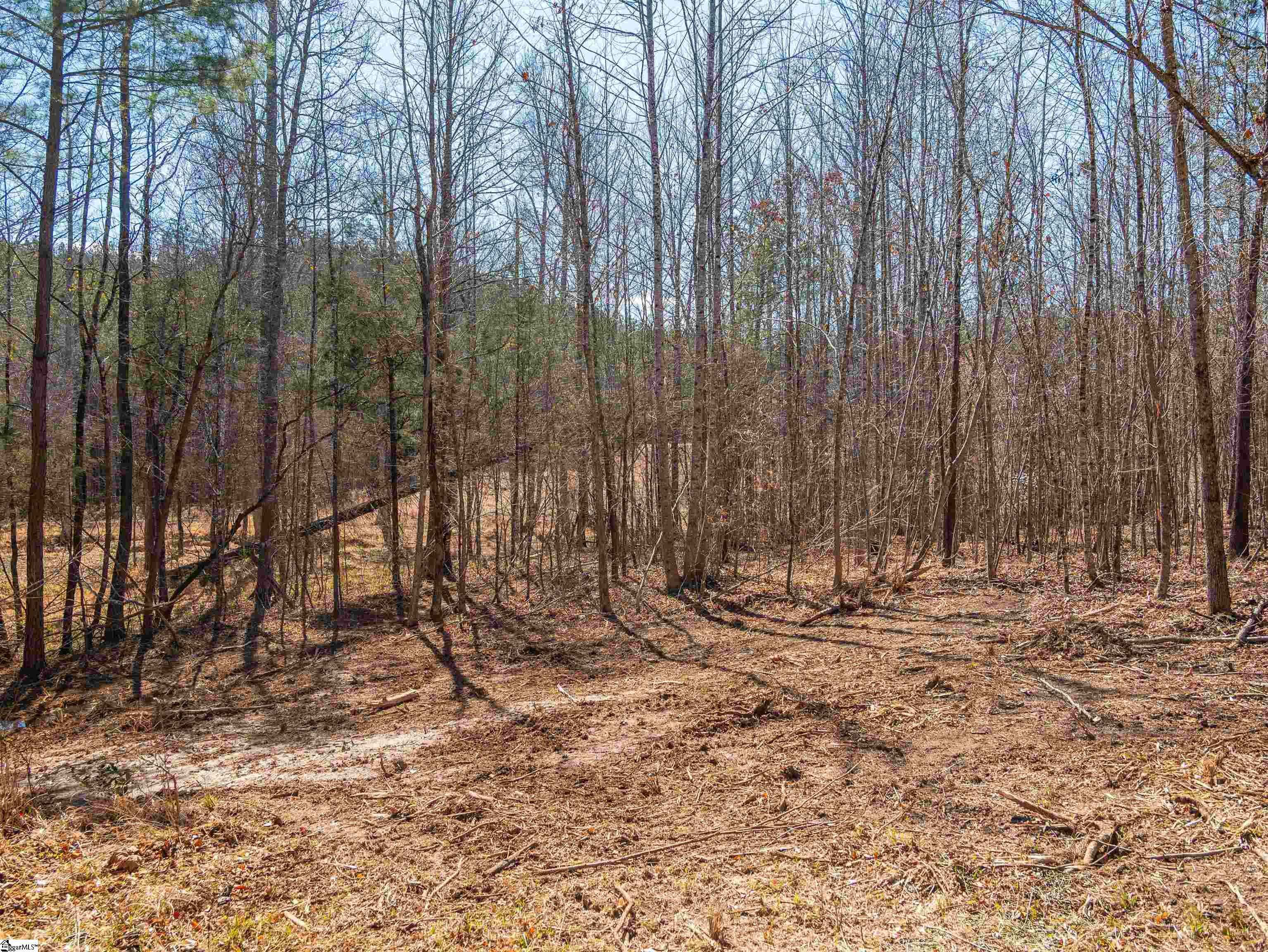 0 Crowe Creek Road, Unit LOT C Six Mile, SC 29682 - Photo 7 of 17