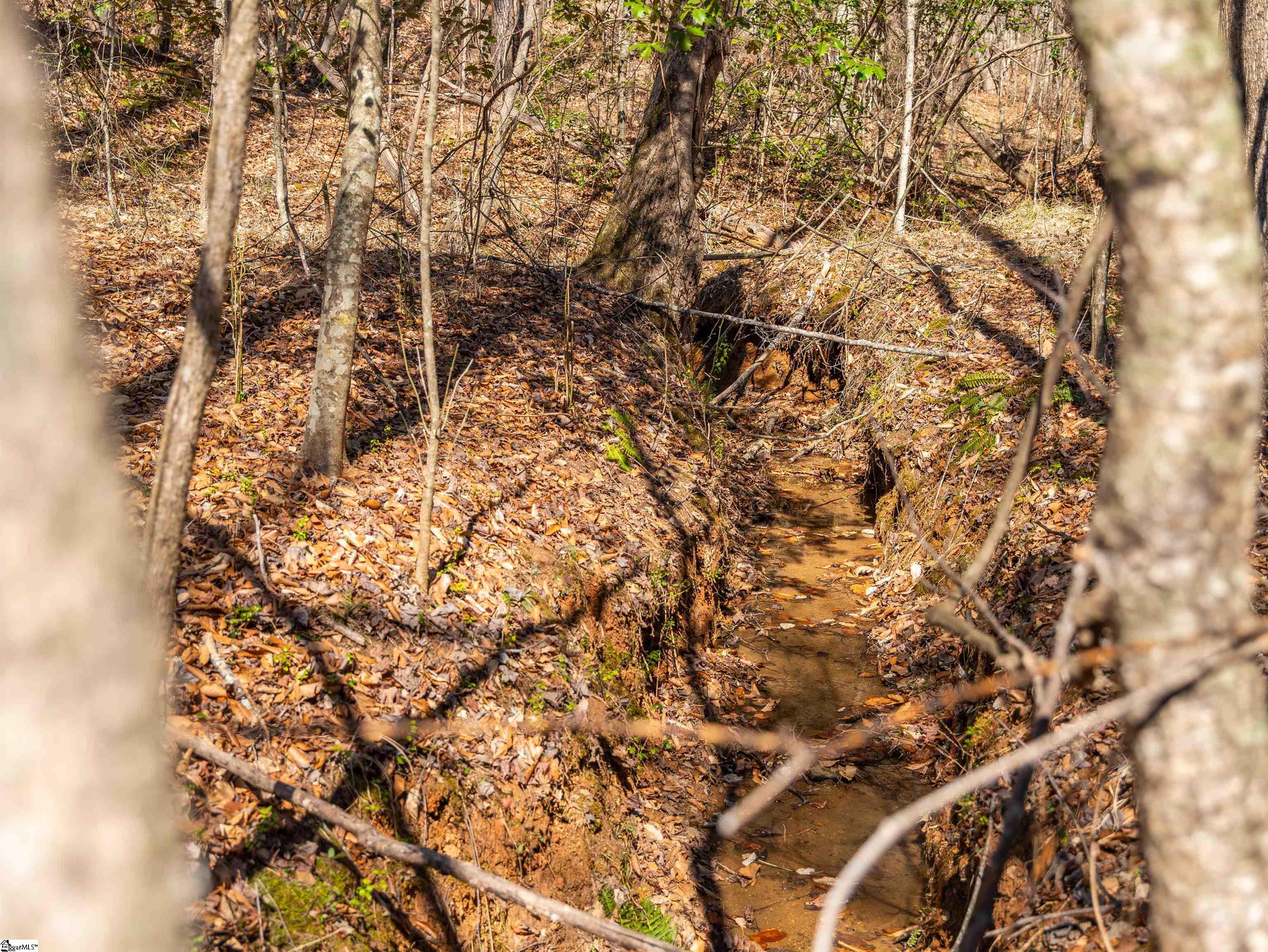 0 Crowe Creek Road, Unit LOT C Six Mile, SC 29682 - Photo 9 of 17