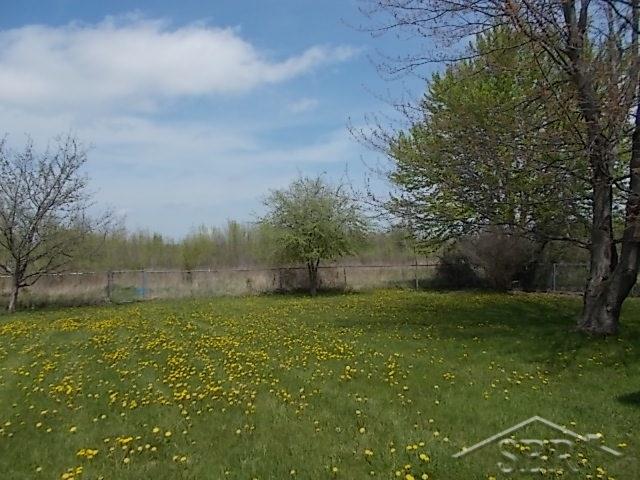 10478 Buck Road Freeland, MI 48623 - Photo 21 of 23 31347965-20.JPG
