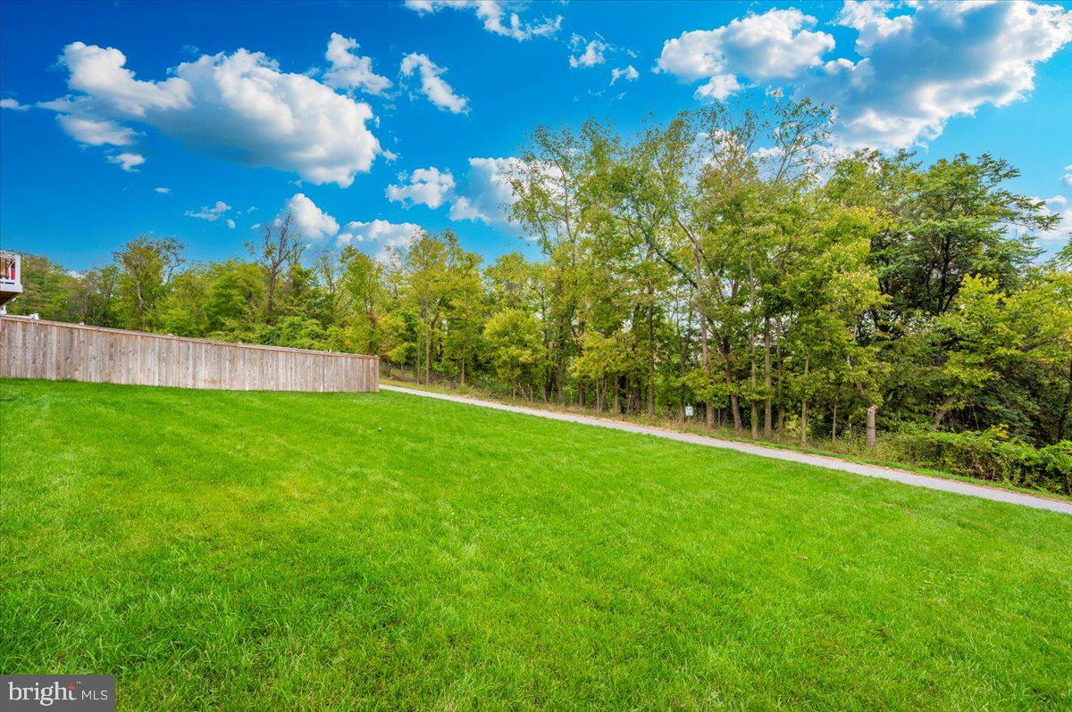 2052 Pomona Way Frederick, MD 21702 - Photo 61 of 71