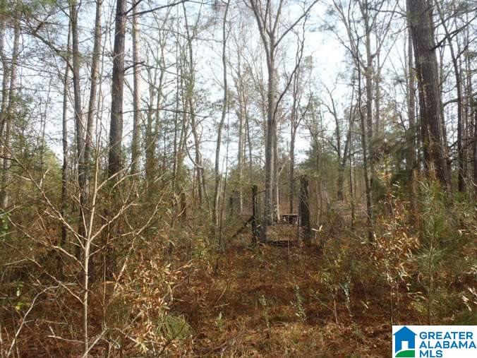 6510 Glovers Ferry Road Alpine, AL 35014 - Photo 23 of 25