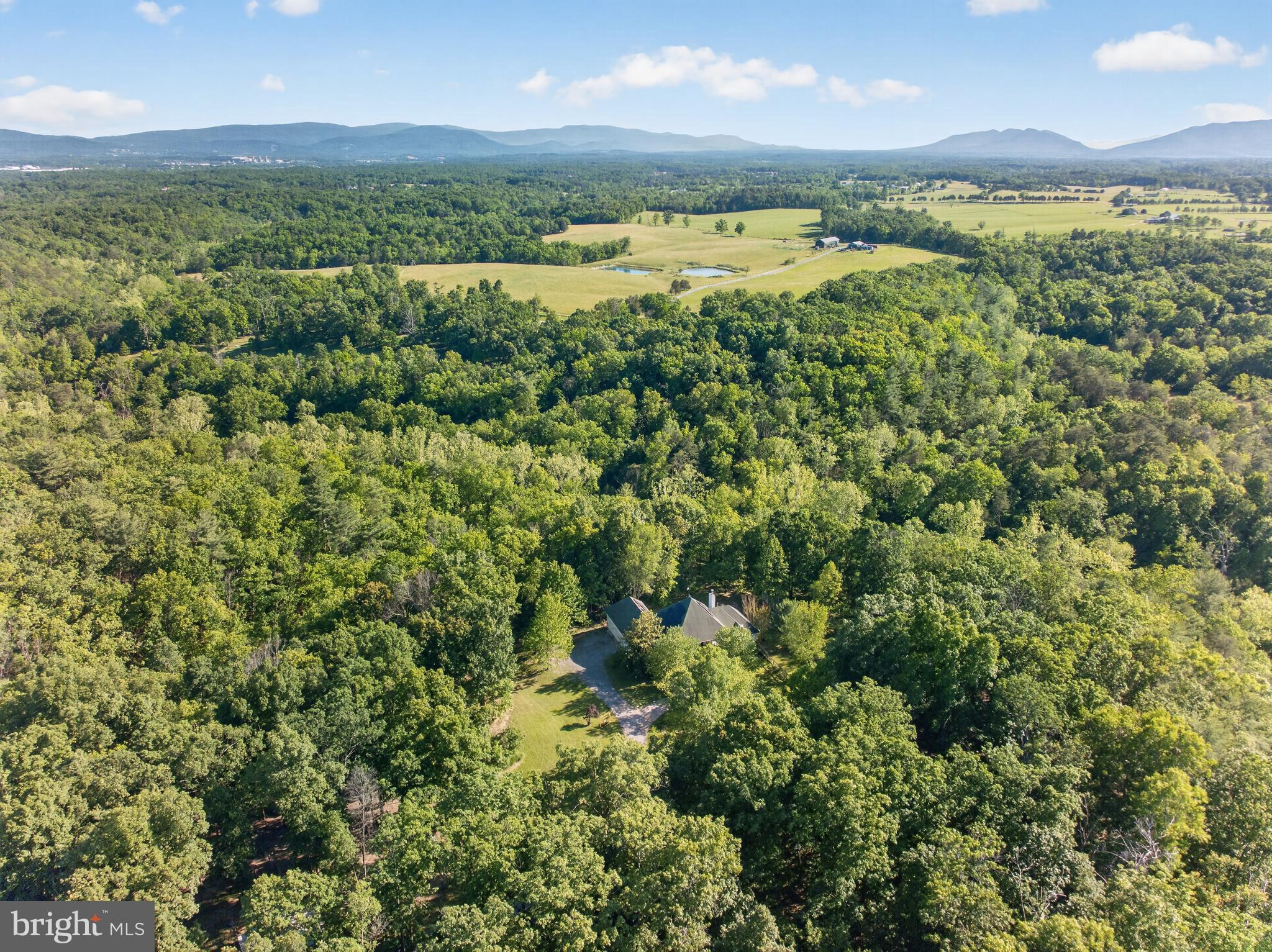 1980 Double Church Road Stephens City, VA 22655 - Photo 6 of 71