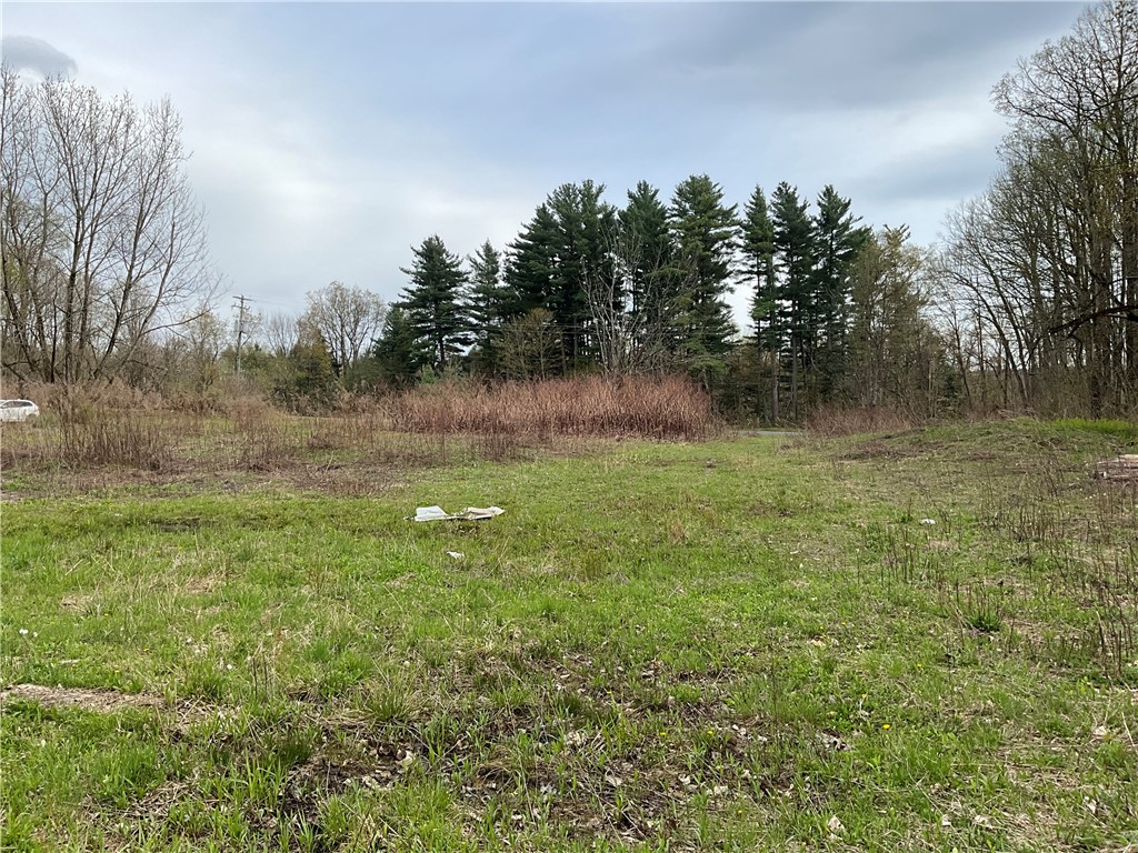 6471 Crofoot Road Sempronius, NY 13118 - Photo 19 of 23