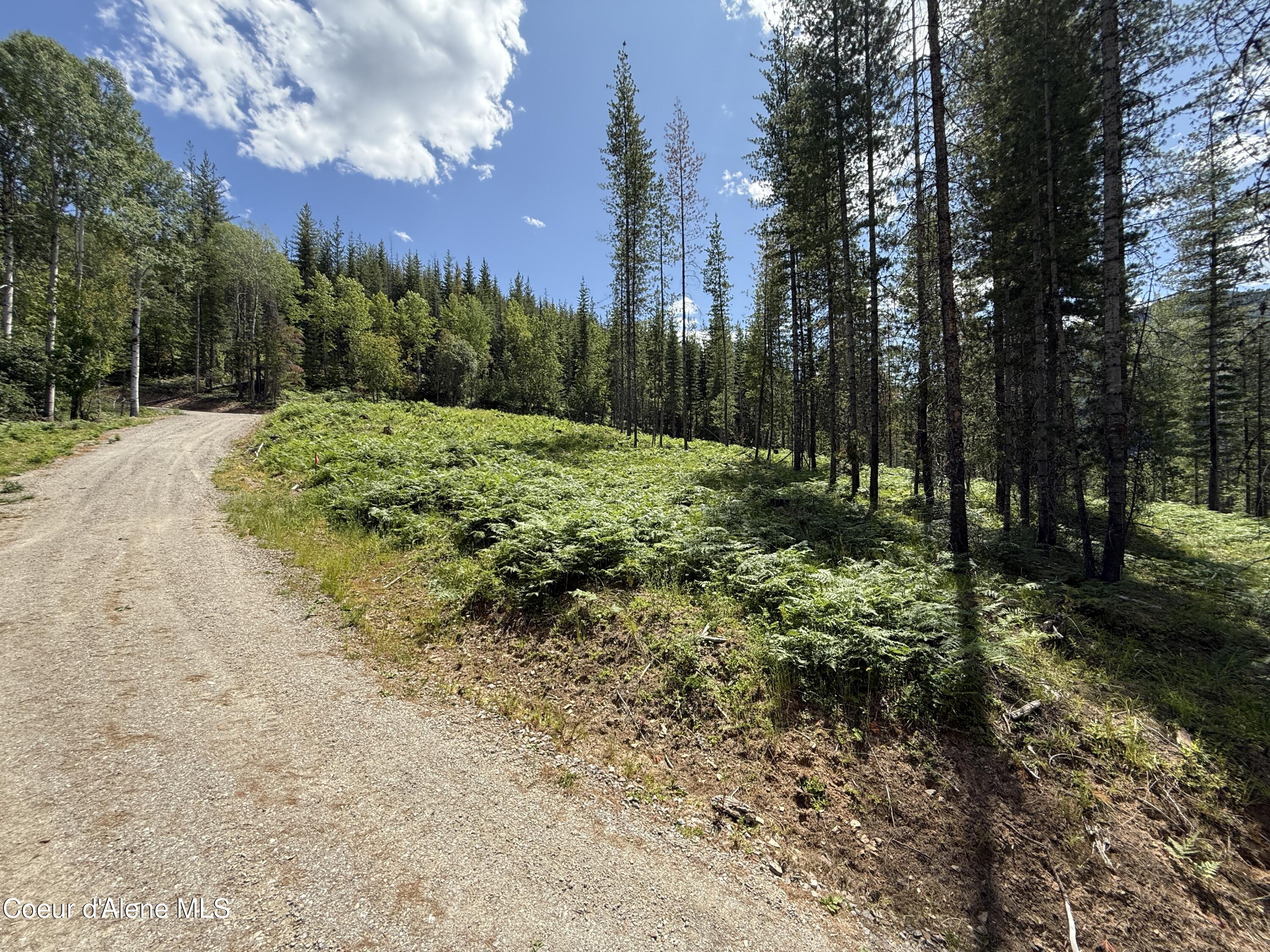928 Polaris Peak Road Kellogg, ID 83837 - Photo 6 of 11 6