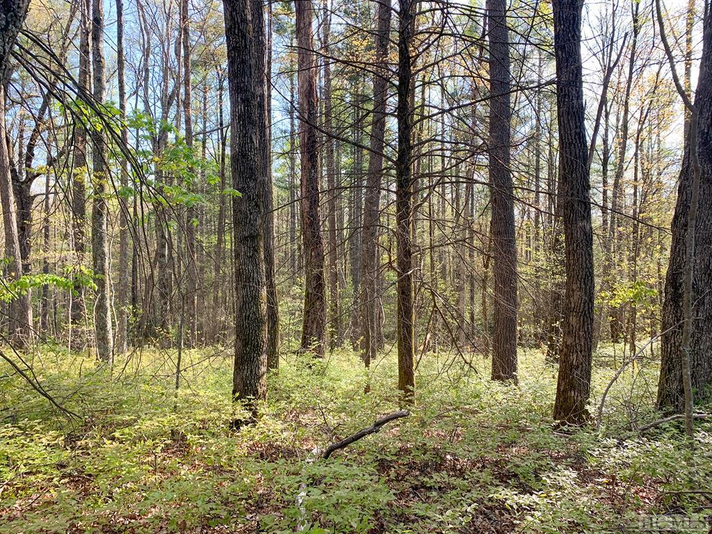 Lot 27 Timber Ridge Drive Sylva, NC 28779 - Photo 4 of 6 Gallery Image 4