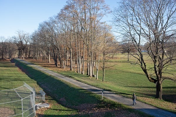 58 Main Street, Unit 4 Hatfield, MA 01038 - Photo 20 of 42 a view of a park with large trees