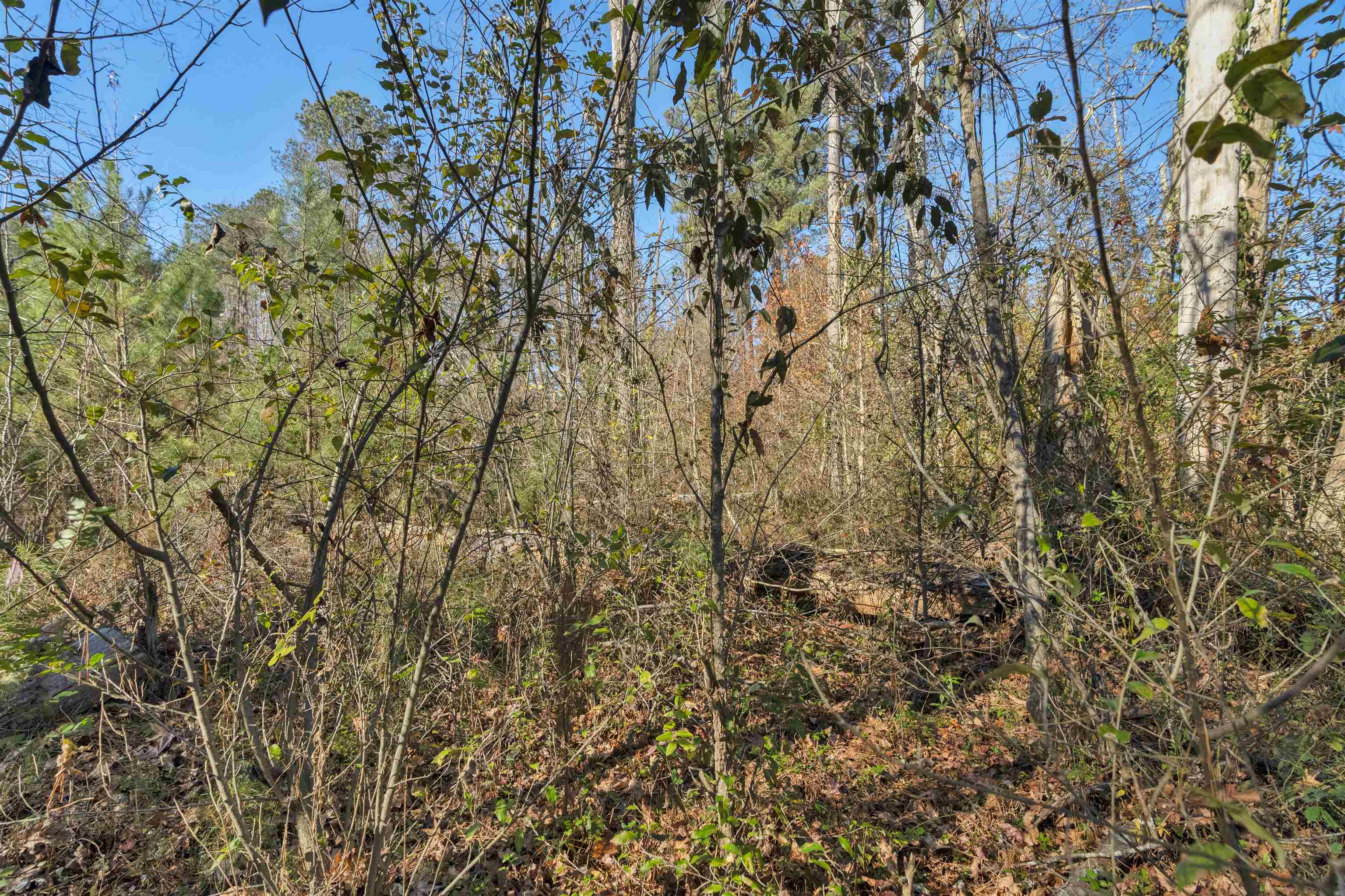 0 Quarter Round Road Pacolet, SC 29372 - Photo 45 of 45 Gallery Image 45