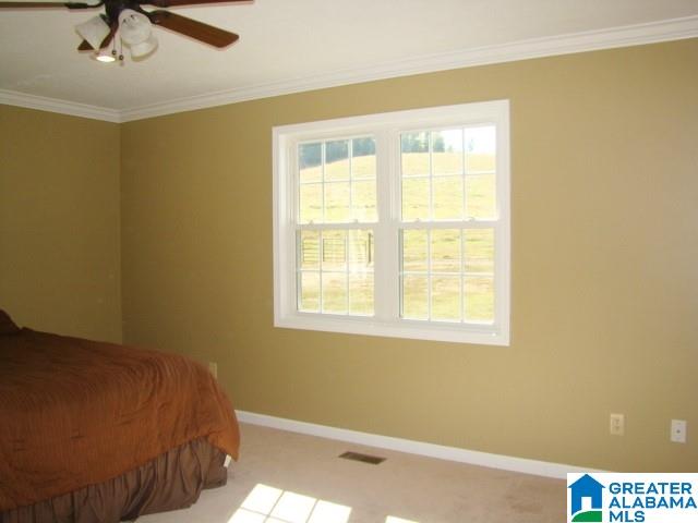 800 Brooks Lake Road Lincoln, AL 35096 - Photo 22 of 33