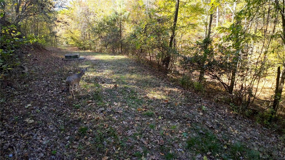3811 Foxcroft Road Little Rock, AR 72207 - Photo 22 of 33 Gallery Image 22