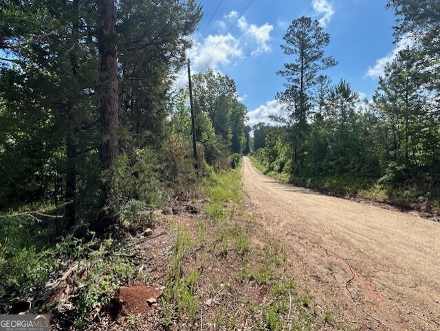 0 Silas Mercer Road Northeast Crawfordville, GA 30631 - Photo 3 of 12