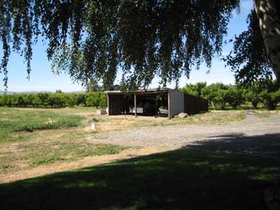 1360 Dilley Road Tieton, WA 98947 - Photo 16 of 23 a view of a house with yard and basketball ground