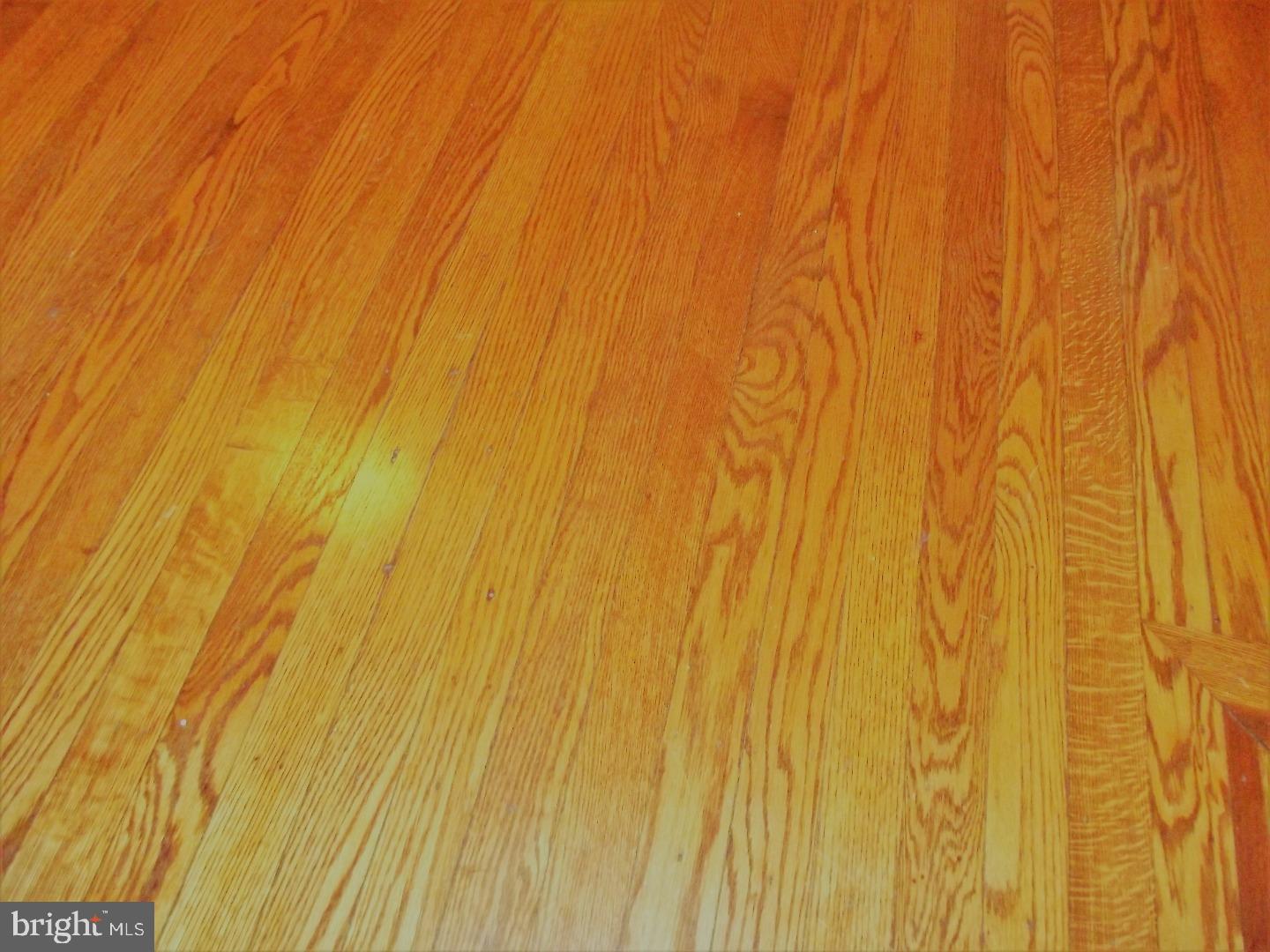 7120 Stockley Road Upper Darby, PA 19082 - Photo 4 of 8 Gallery Image 4