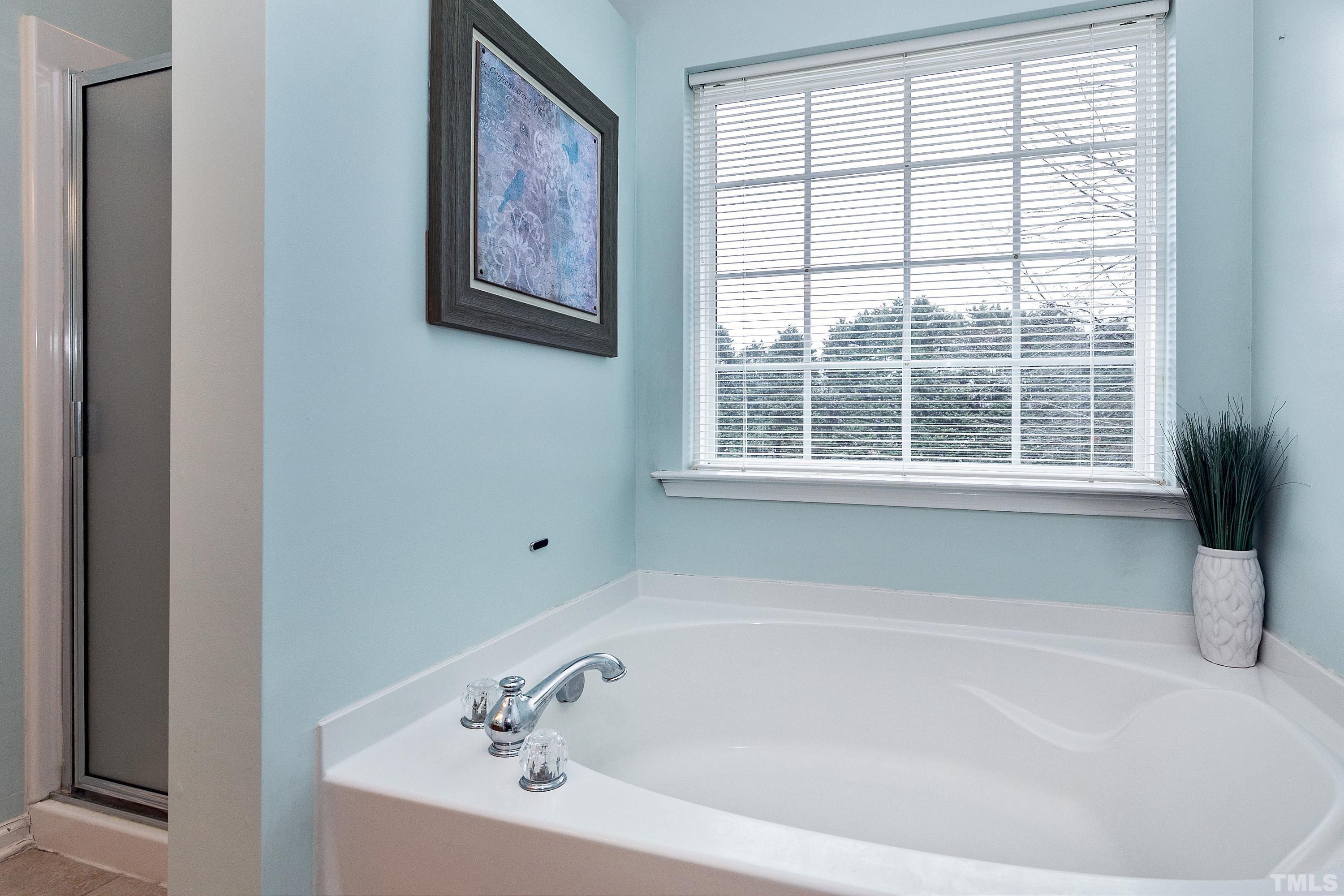 160 Solheim Lane Raleigh, NC 27603 - Photo 20 of 33 a white bath tub sitting next to a window