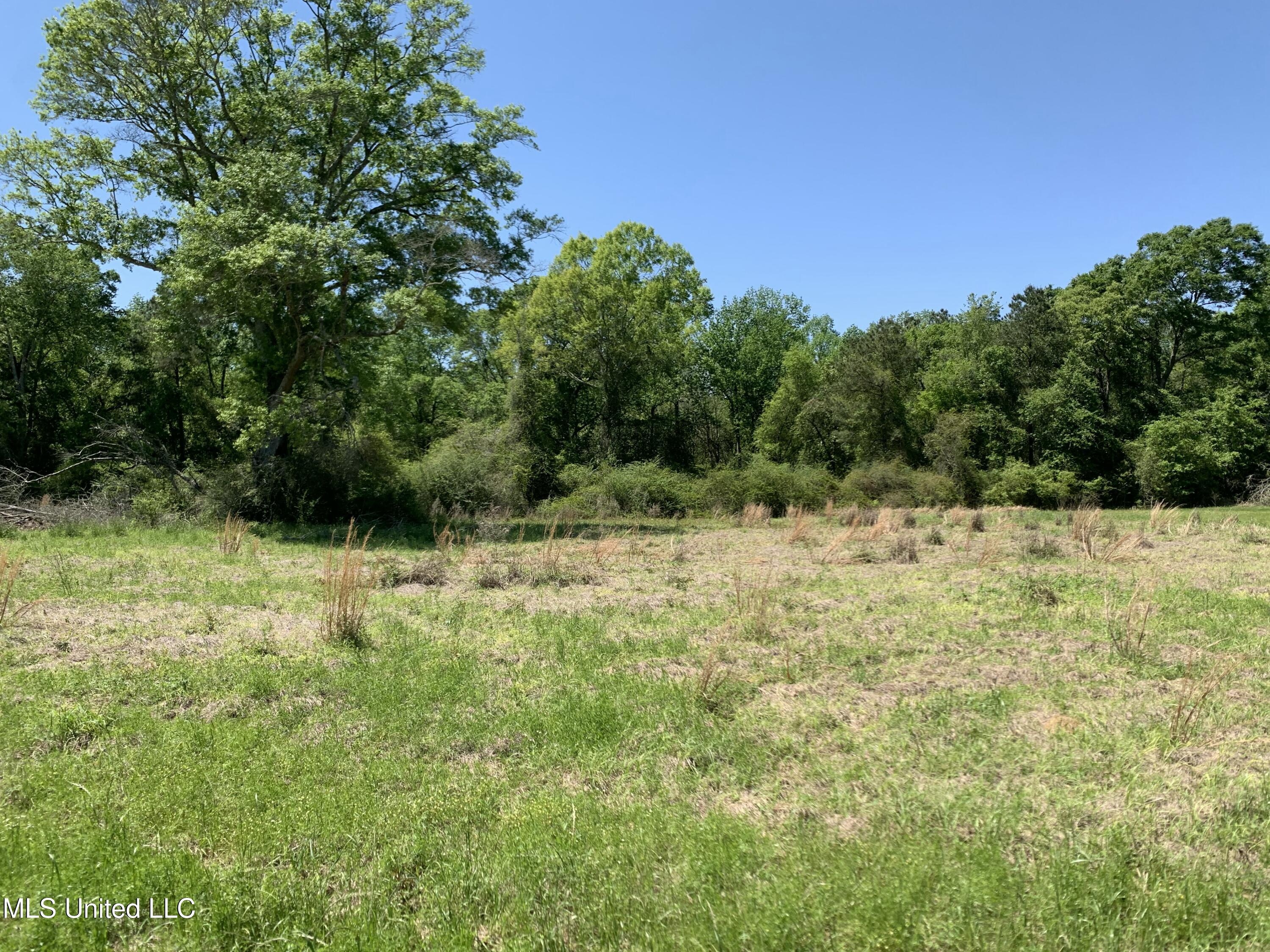 Hickman Road Wiggins, MS 39577 - Photo 3 of 12 tempImageqzySh4