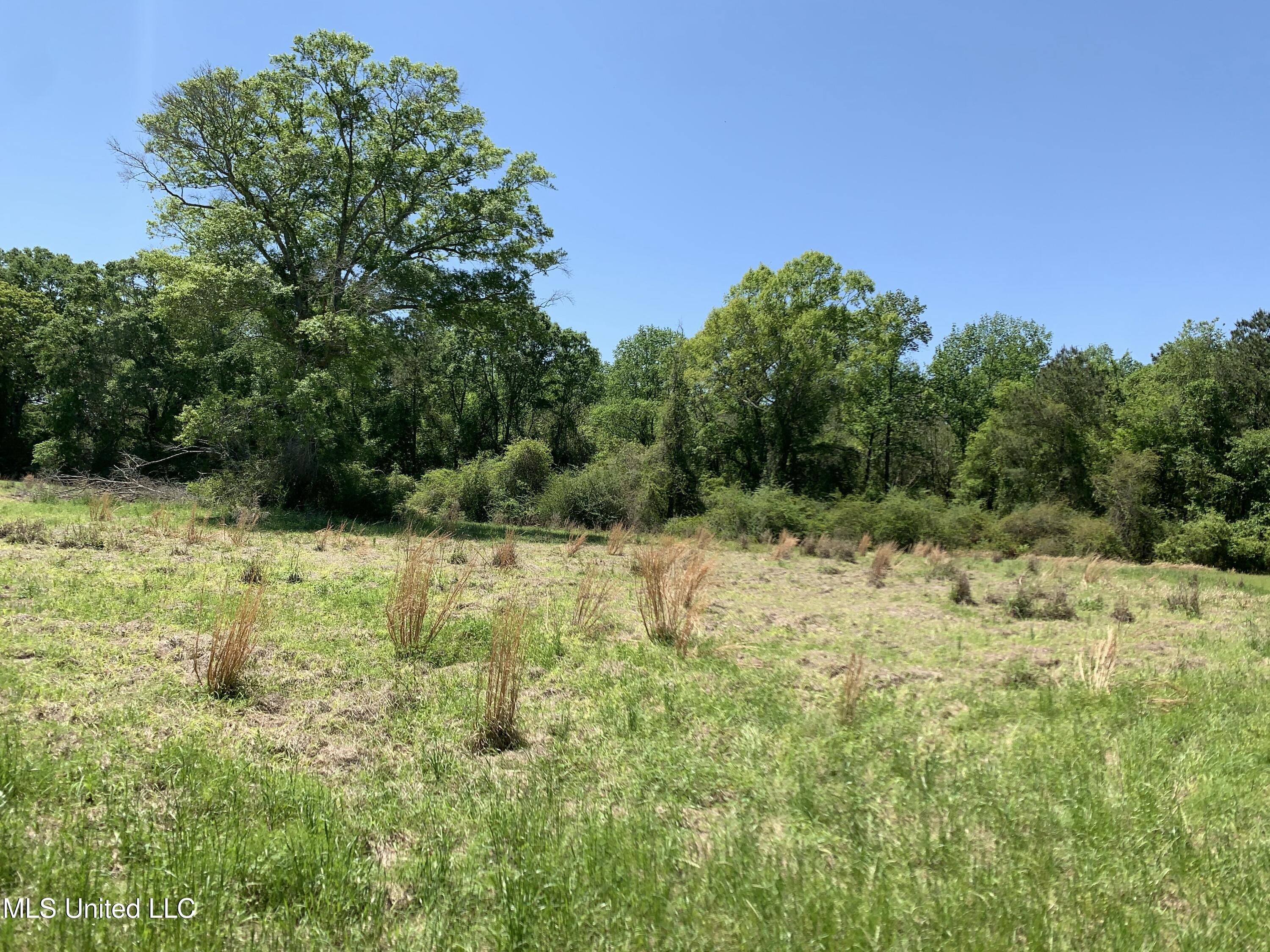 Hickman Road Wiggins, MS 39577 - Photo 5 of 12 tempImageBPty3Z