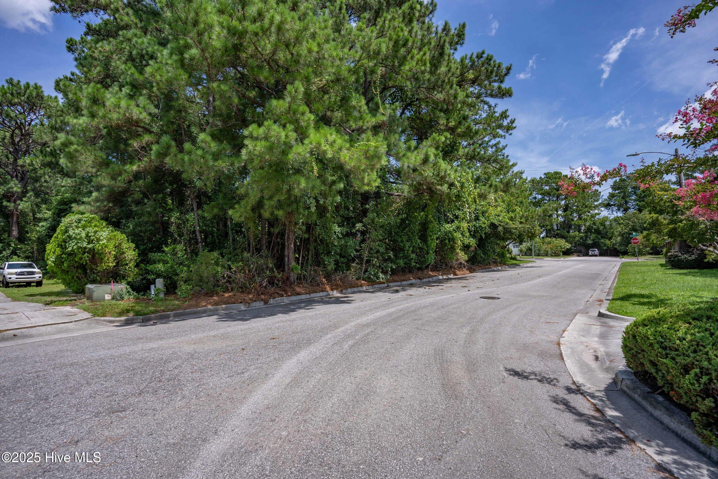 413 Rolling Road Wilmington, NC 28405 - Photo 4 of 17 413rollingrd00001