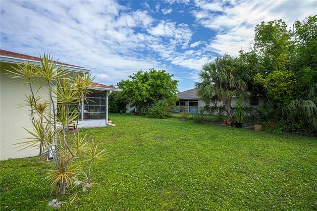 a view of a backyard with plants and a garden