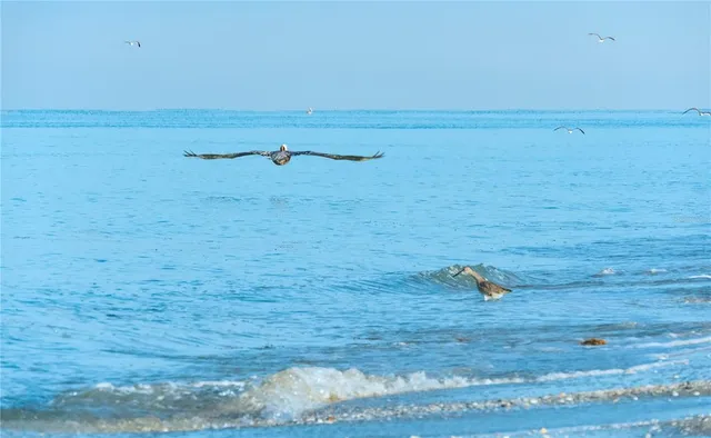 $245,000 | 1311 Washington Drive, Englewood, FL 34224