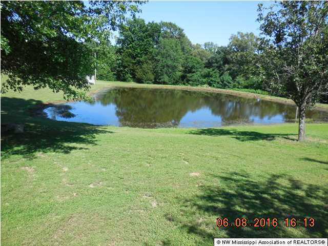 220 Laundre Road Coldwater, MS 38618 - Photo 15 of 18 Additional Photo