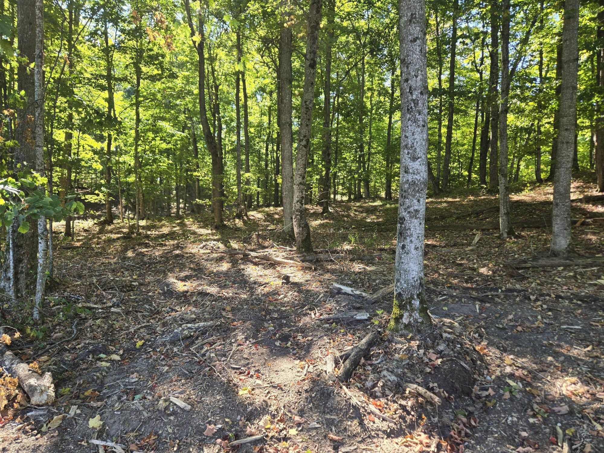 3 Heather Ridge Trail Beulah, MI 49617 - Photo 5 of 8