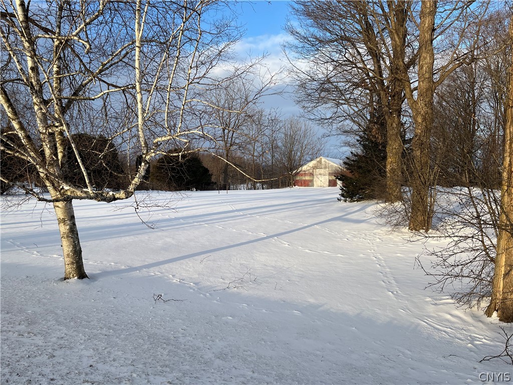 2709 King Road Paris, NY 13456 - Photo 21 of 24