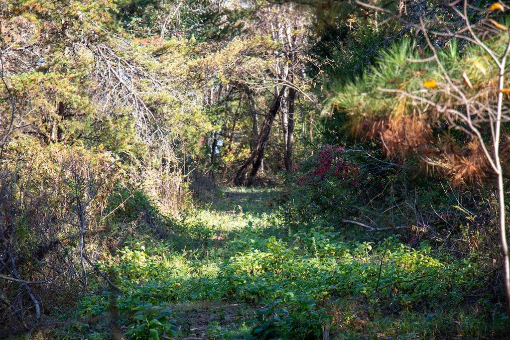 Merricks Drive Callands, VA 24530 - Photo 5 of 34 Gallery Image 5