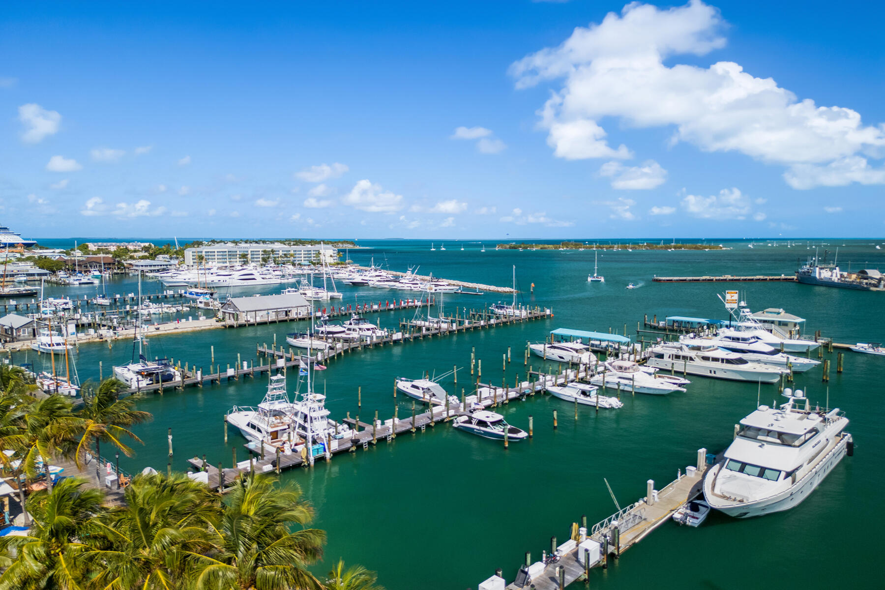 951 Caroline Street, Unit 19 Key West, FL 33040 - Photo 29 of 29 951 Caroline St_1oakstudiosdrone_17