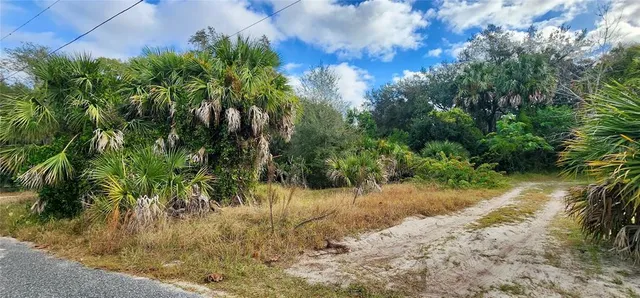a view of a yard with plants and trees