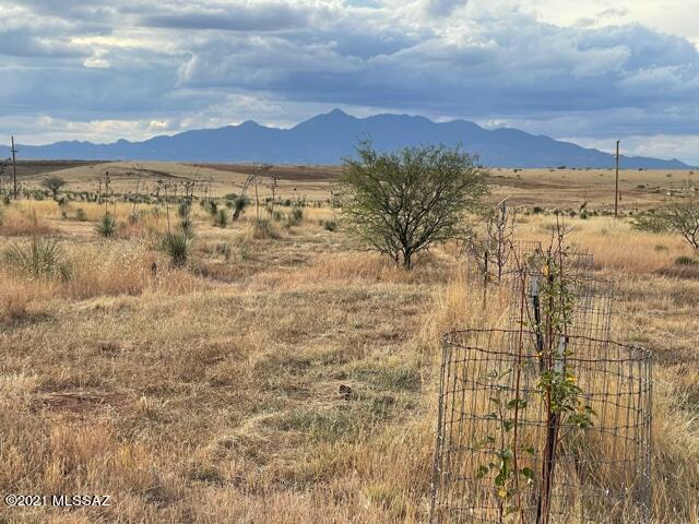 Tbd Upper Elgin Road Elgin, AZ 85611 - Photo 4 of 16