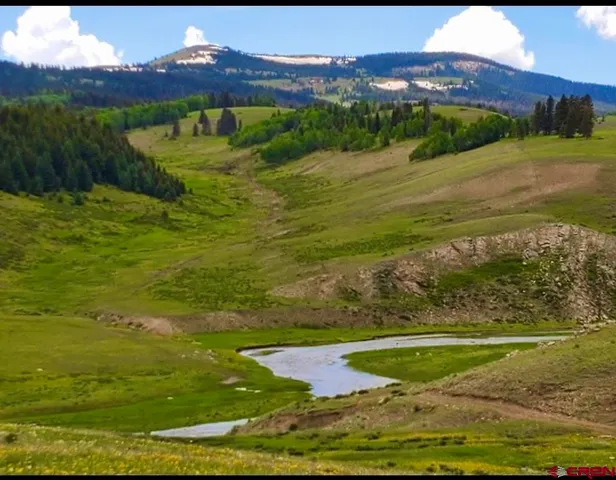 a view of an ocean from a yard