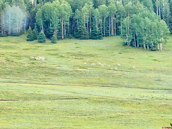 a view of lake with green space