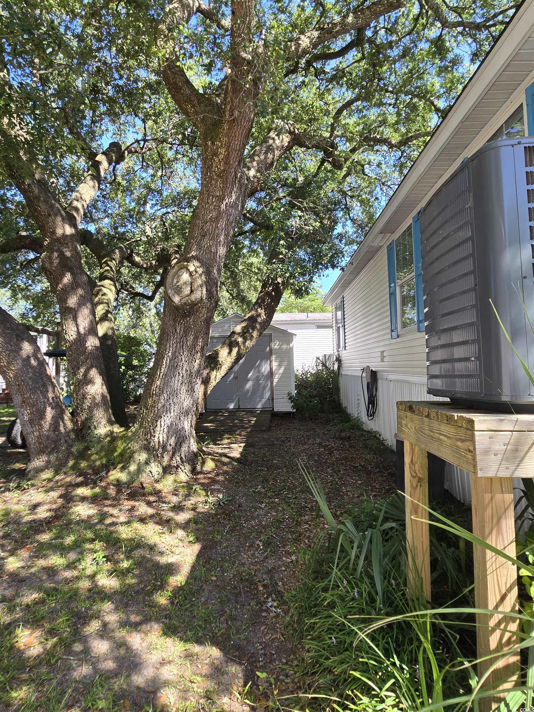 337 Clam Shell Circle Murrells Inlet, SC 29576 - Photo 5 of 29 View of yard with a storage unit