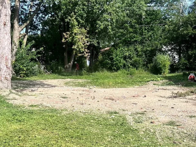 a view of backyard with green space