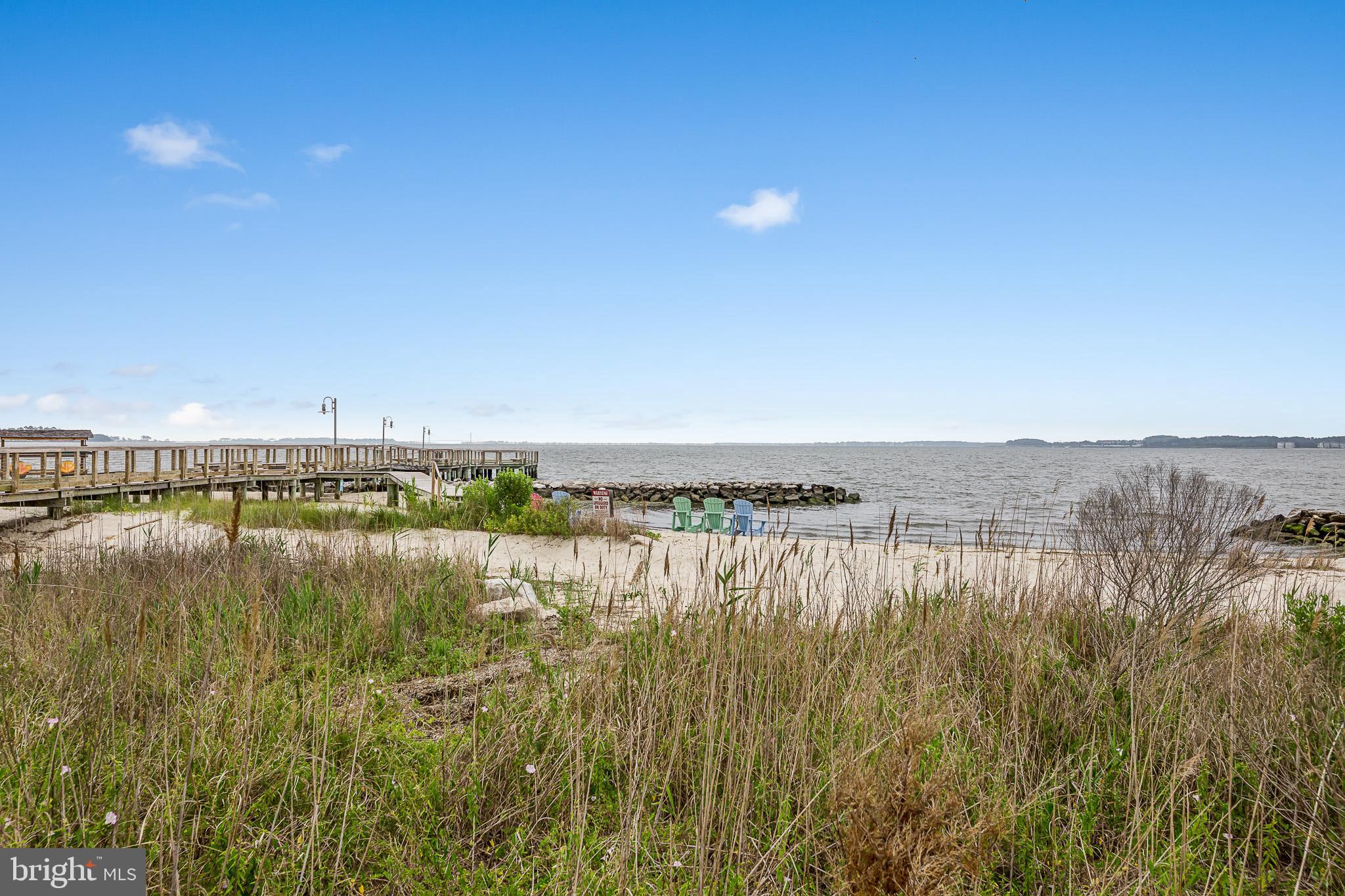 33461 Islander Drive Millsboro, DE 19966 - Photo 80 of 83