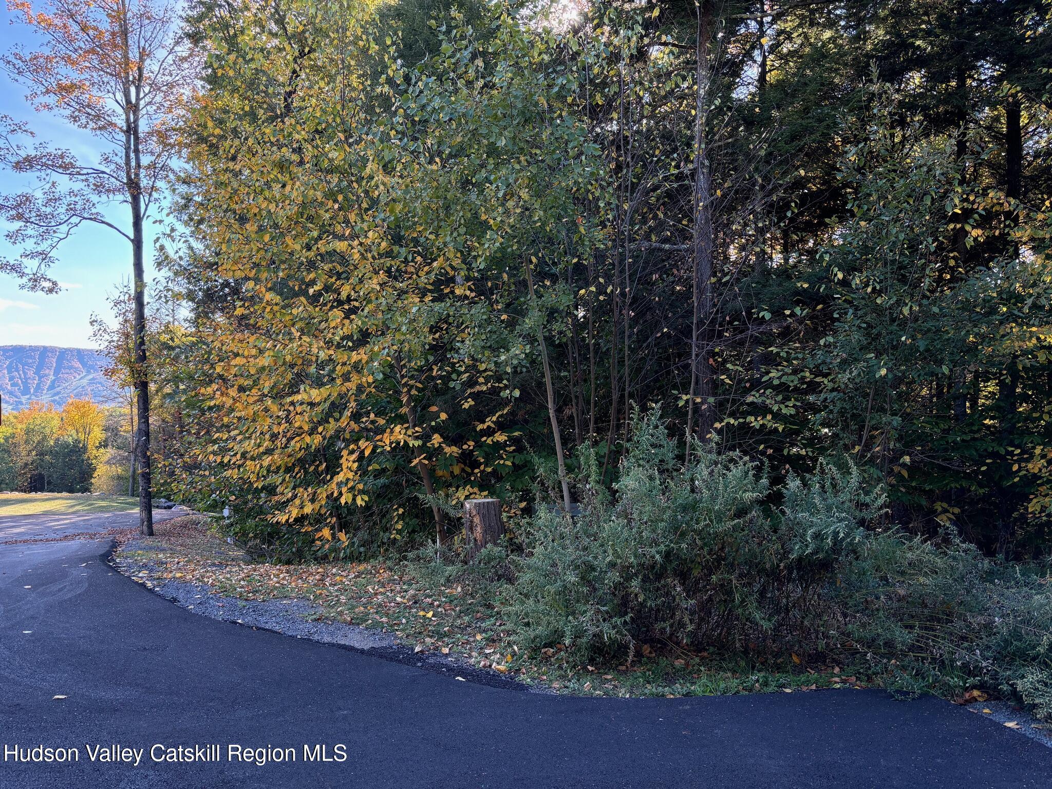 Tbd Tbd Hollow View Road Windham, NY 12496 - Photo 1 of 17 IMG_2525
