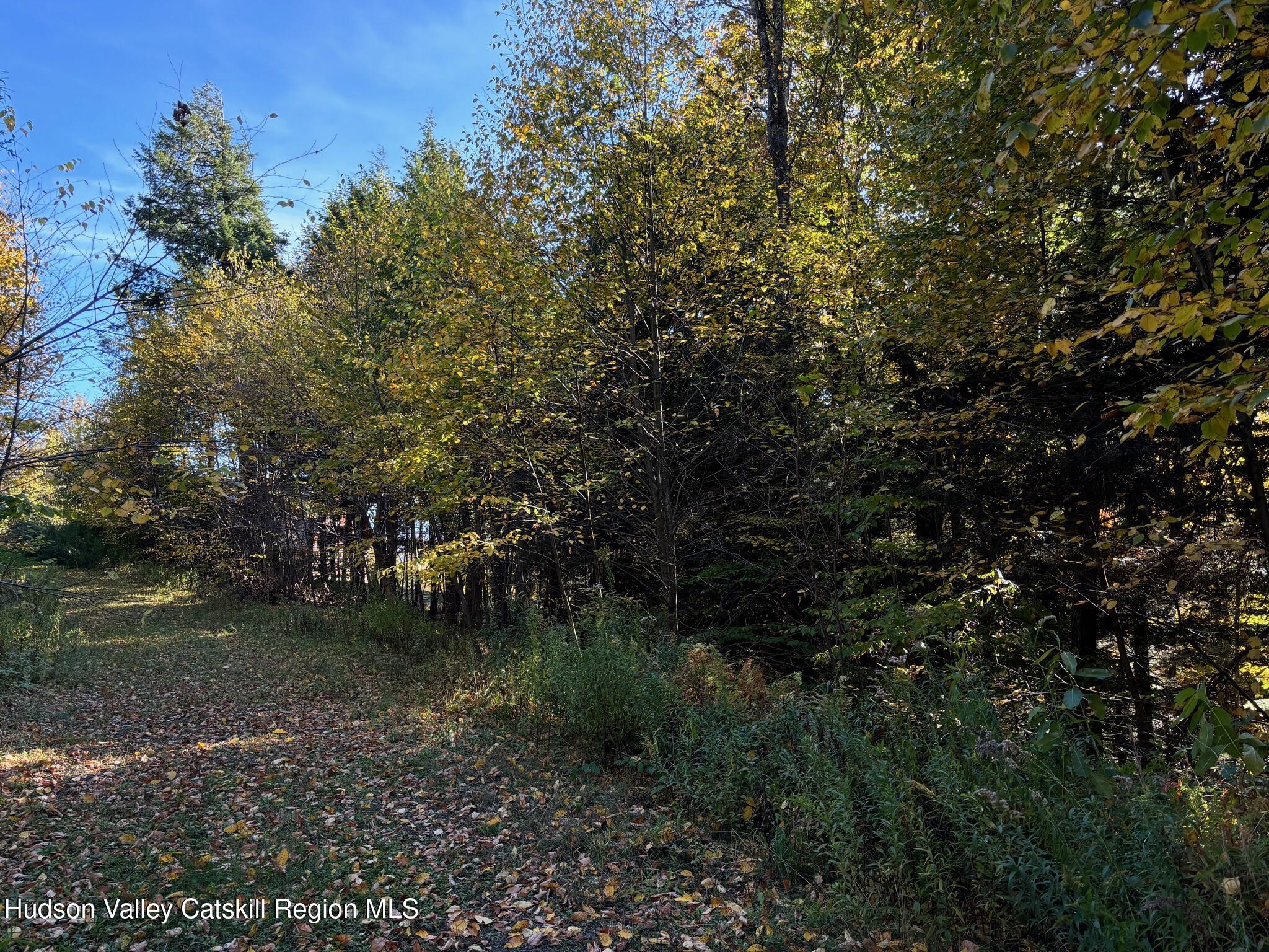 Tbd Tbd Hollow View Road Windham, NY 12496 - Photo 14 of 17 IMG_2522