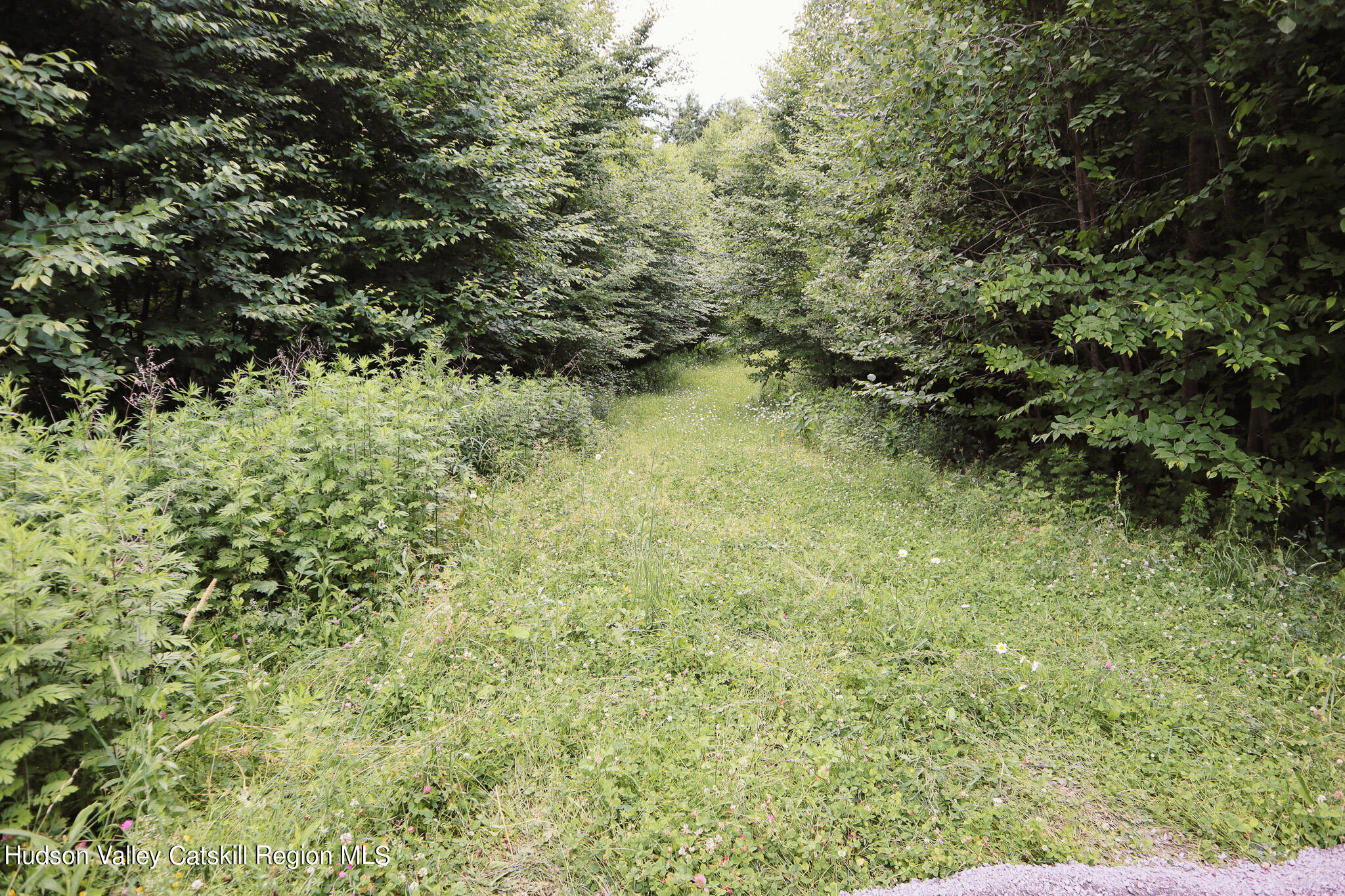 Tbd Tbd Hollow View Road Windham, NY 12496 - Photo 6 of 17 IMG_8156-2