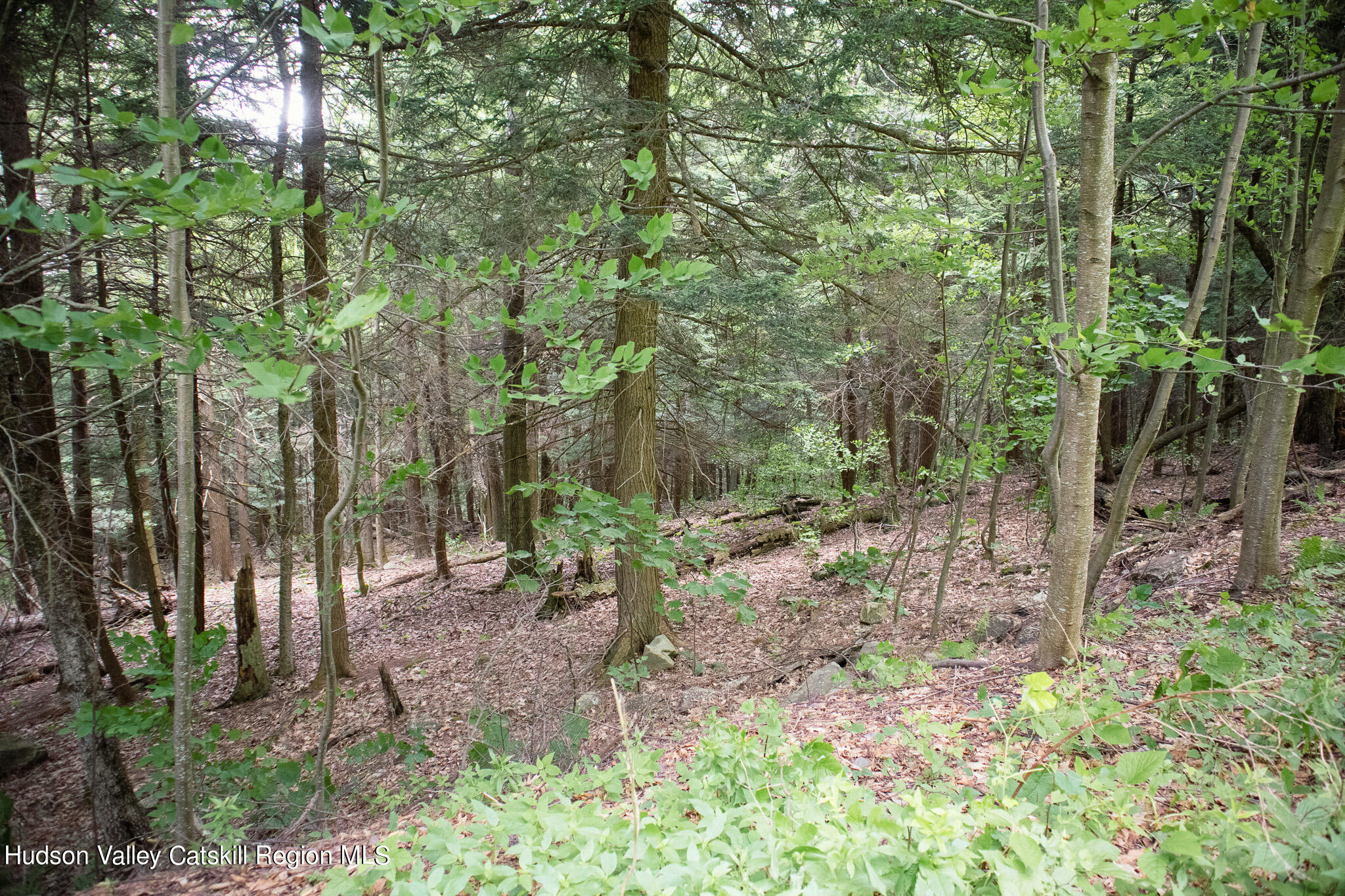Tbd Tbd Hollow View Road Windham, NY 12496 - Photo 7 of 17 IMG_8157-2