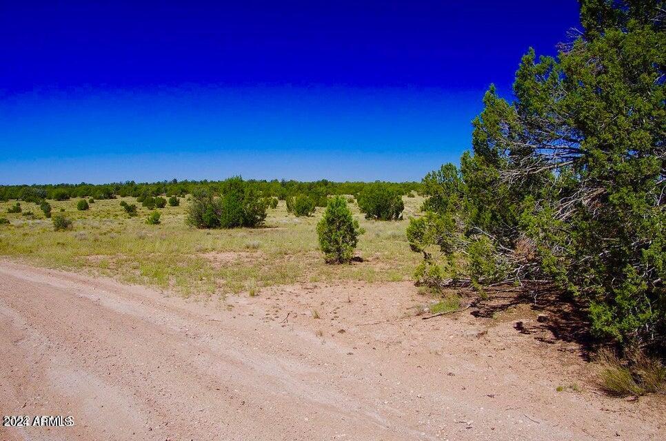 Tbd Tbd Denny Ranch Road Seligman, AZ 86337 - Photo 12 of 26 20220326072204830195000000-o