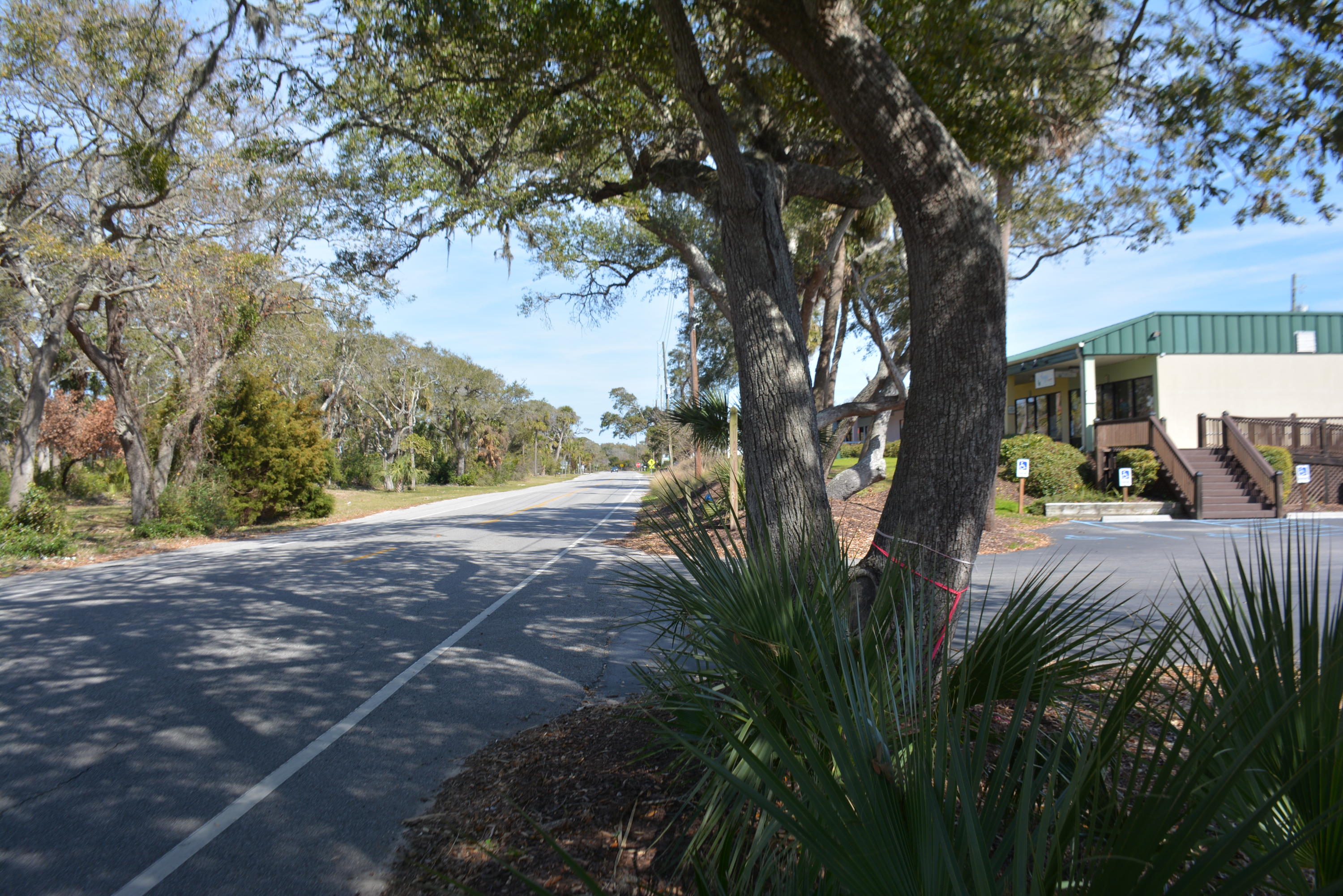 124 Jungle Road Edisto Island, SC 29438 - Photo 3 of 10 DSC_3550_1641