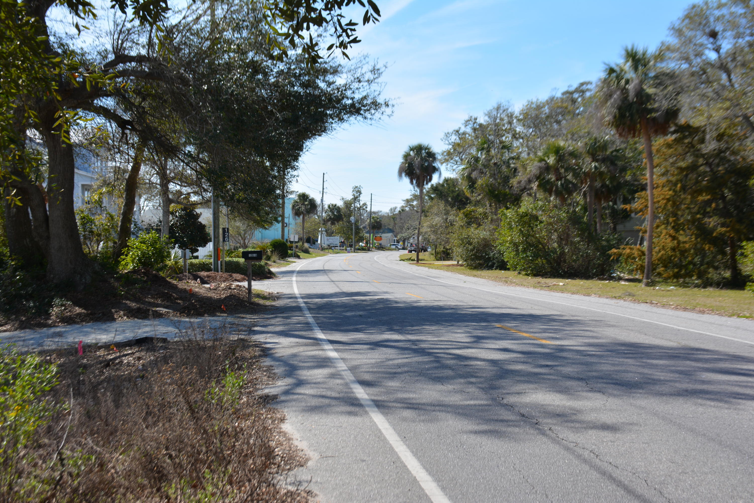 124 Jungle Road Edisto Island, SC 29438 - Photo 5 of 10 DSC_3551_1642