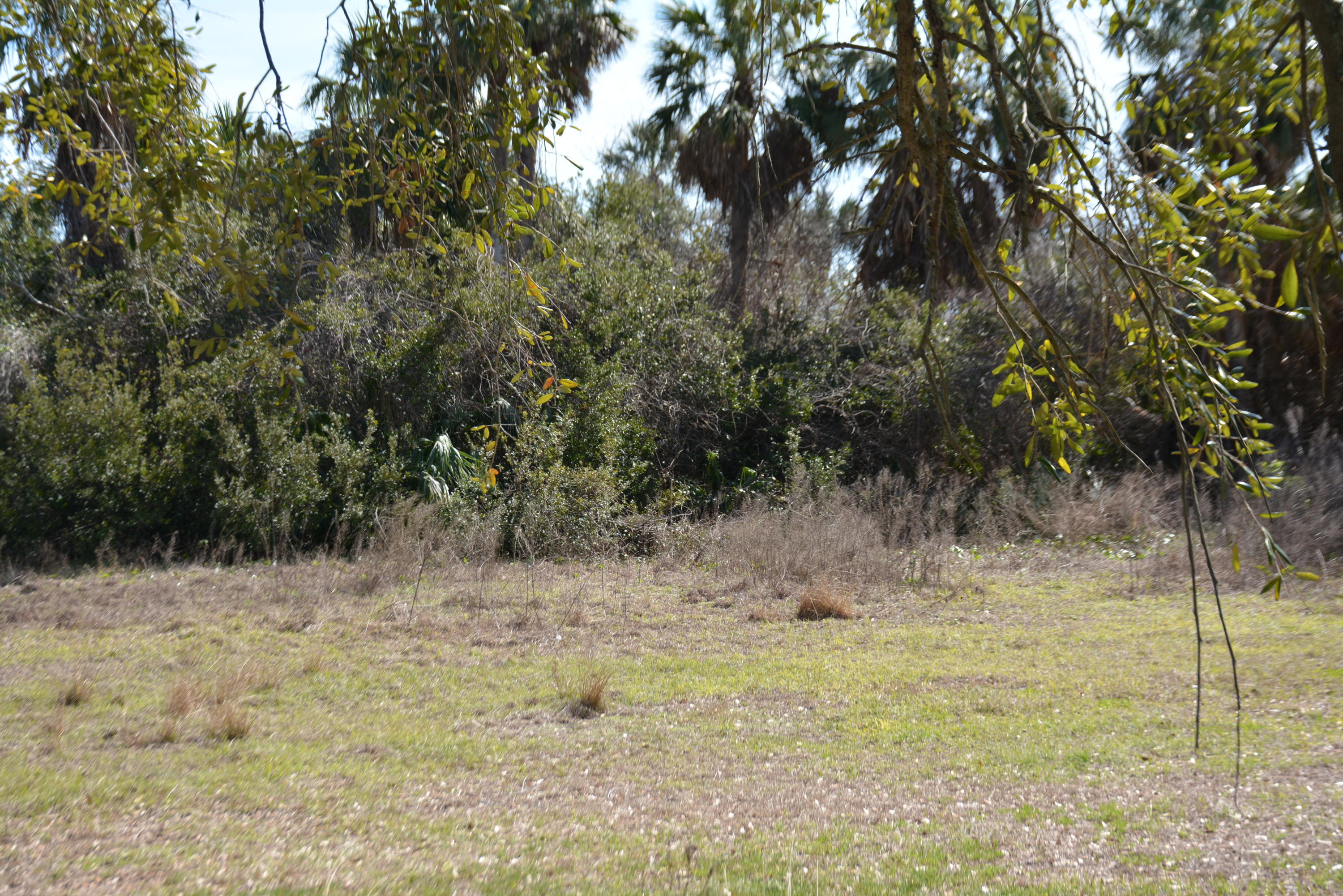 124 Jungle Road Edisto Island, SC 29438 - Photo 10 of 10 DSC_3552_1643